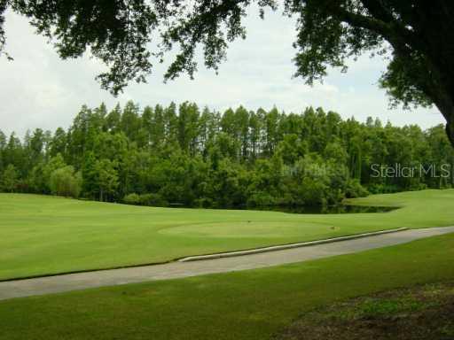 714 Guisando De Avila Ave., Tampa, FL 33613