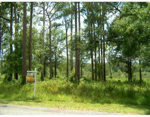 12347 Quail Ridge Dr., Spring Hill, FL 34610