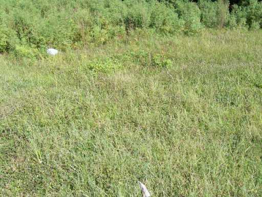 16367 Nw 306th St., Okeechobee, FL 34972