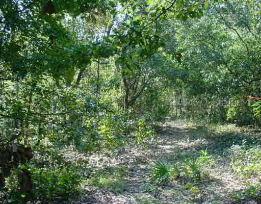 11325 Tralee Dr., Riverview, FL 33569