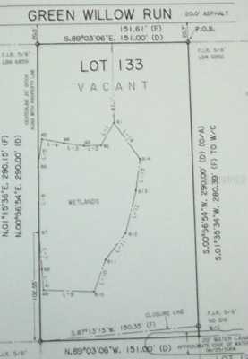 133 Green Willow Run, Wesley Chapel, FL 33544