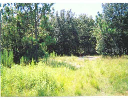 Creekwood Run Rd., Lakeland, FL 33809