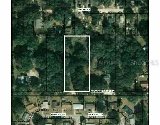 Orangedale Ave., Dade City, FL 33525