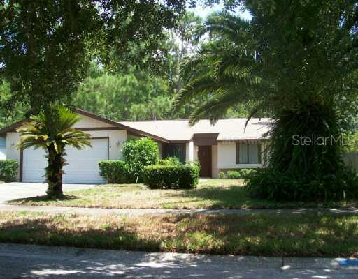 5344 Black Pine Dr., Tampa, FL 33624