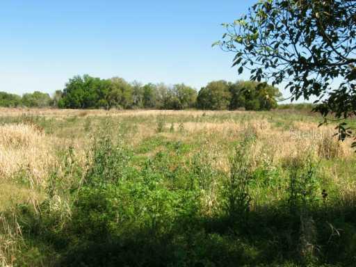 3010 S Wiggins Rd., Plant City, FL 33566