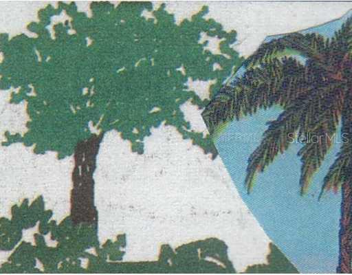 919 Wilma St., Tampa, FL 33612