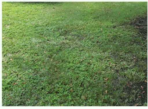 Jenkins St., Plant City, FL 33563