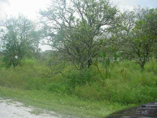 Clarence Gordon Rd., Plant City, FL 33567