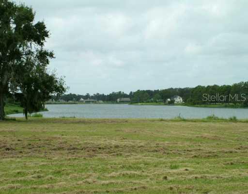 13319 Maple Nut Ln., Dover, FL 33527