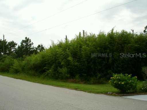 2220 Running Horse Tr., St. Cloud, FL 34771