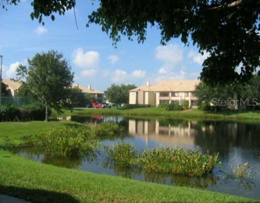 10263 Gandy Blvd. #2207, St Petersburg, FL 33702