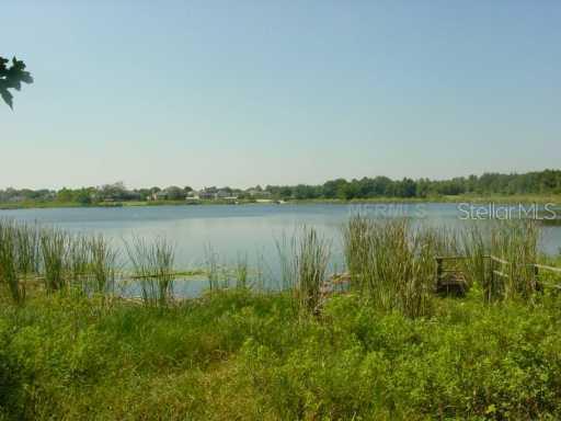 511 E County Line Rd., Lutz, FL 33549