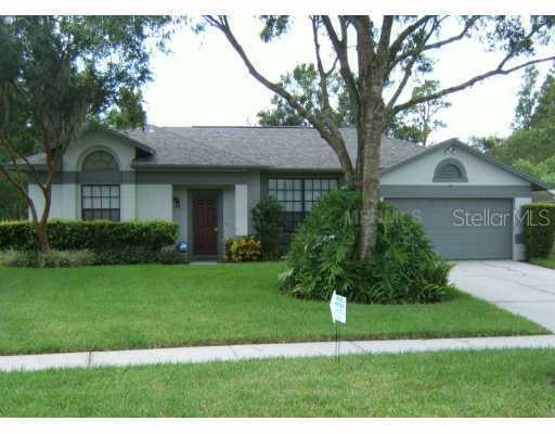 6608 Appaloosa Dr., Tampa, FL 33625