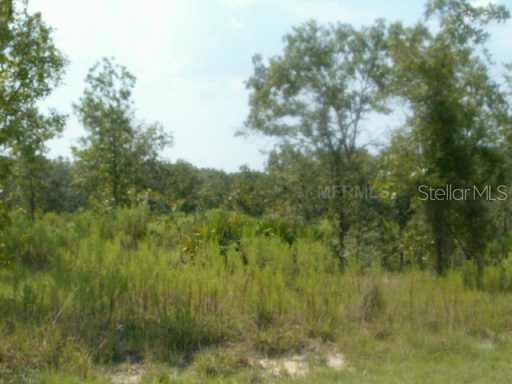 11481 S Fulmar Rd., Weeki Wachee, FL 34614