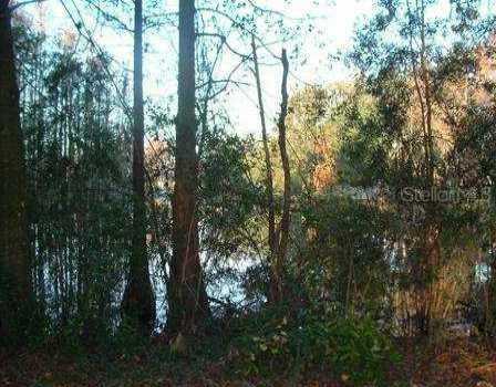 2504 Alvarez Rd., Tampa, FL 33618