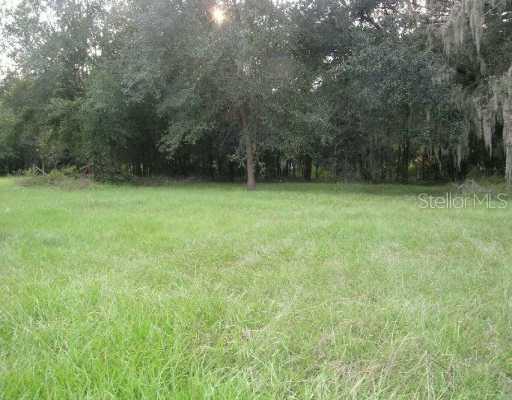 224 Old Mulrennan Rd., Valrico, FL 33594