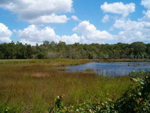 1638 Henley Rd., Lutz, FL 33558