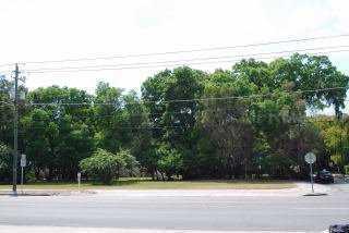 4108 N Nebraska Ave., Tampa, FL 33603