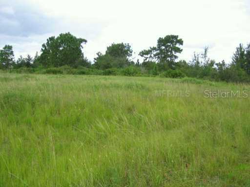 Haystack Rd., Wesley Chapel, FL 33543