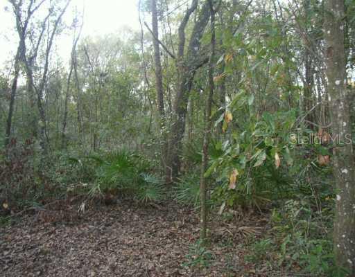 17125 Lemon St., Spring Hill, FL 34610