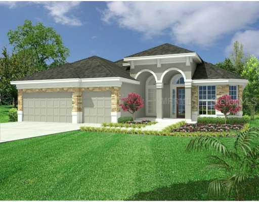 Drake Elm Ter., Valrico, FL 33594