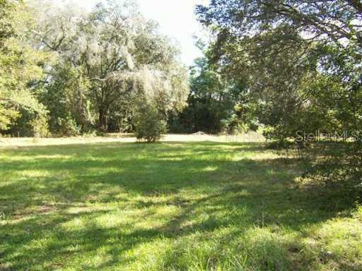 17430 Benes Roush Rd., Masaryktown, FL 34655