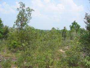 Hill Ln., Chipley, FL 32428