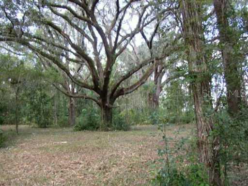 Mondon Hill Rd., Brooksville, FL 34601