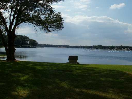 14908 N Rome Ave., Tampa, FL 33613