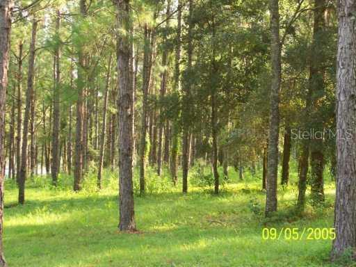 36810 Clinton Ave., Dade City, FL 33525