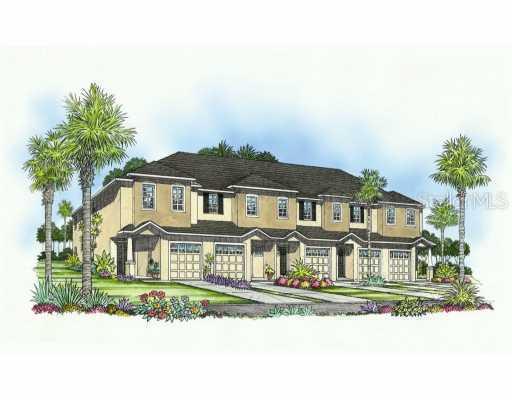 10003 Messina Pointe Way, Tampa, FL 33619