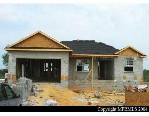 31221 Triborough Dr., Wesley Chapel, FL 33544