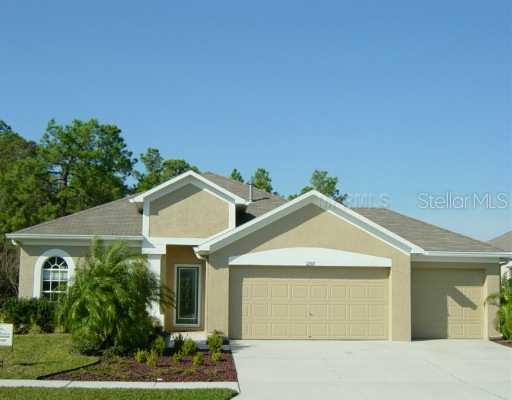 12505 Sparkleberry Rd., Tampa, FL 33626