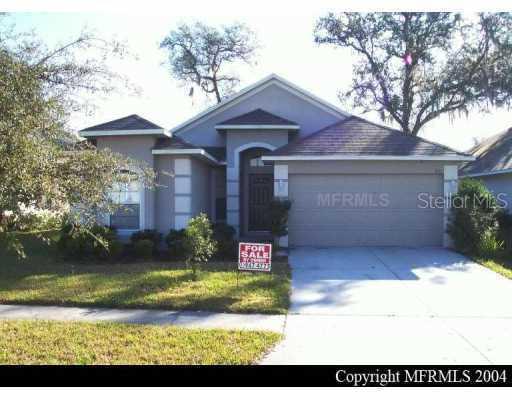 801 Straw  Lake Dr., Brandon, FL 33510