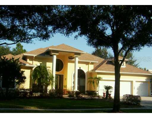 3820 Turkey Oak Dr., Valrico, FL 33594