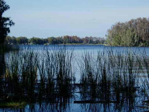 21651 Carson Dr., Land O Lakes, FL 34639