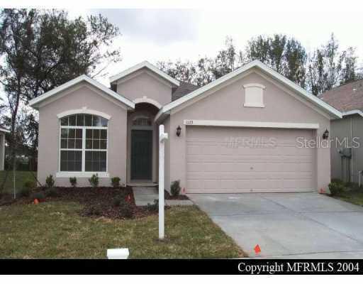 1123 Emerald Hill Way, Valrico, FL 33594
