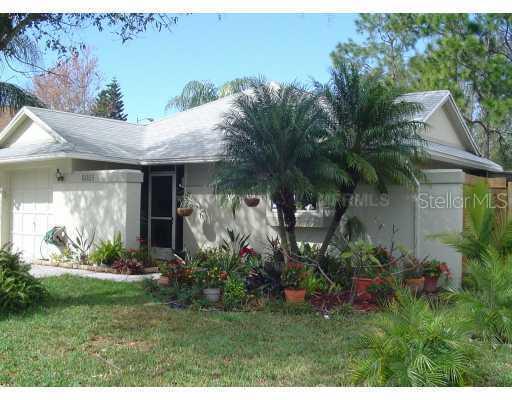 6005 Lemon Tree Ct., Tampa, FL 33625