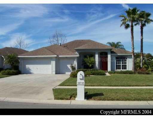 18718 Chemille Dr., Lutz, FL 33558