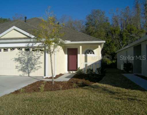 30811 Prout Ct., Wesley Chapel, FL 33543