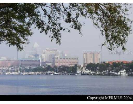 1002 S Harbour Island Blvd. #1207, Tampa, FL 33602