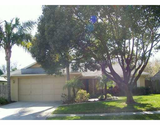 5364 Black Pine Dr., Tampa, FL 33624