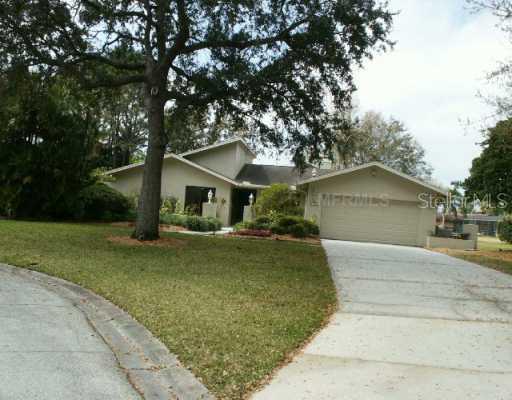 13904 Lake Bluff Ct., Tampa, FL 33624