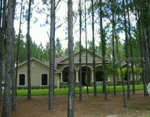 310 Pine Bluff Dr., Lutz, FL 33549