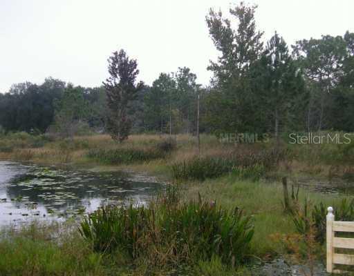 9700 Spruce Ln., Wesley Chapel, FL 33545