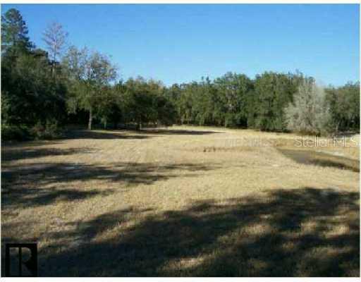 12541 Little Pete Ct., Hudson, FL 34669