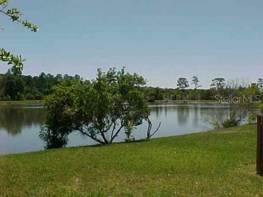 29749 Birds Eye Dr., Wesley Chapel, FL 33543