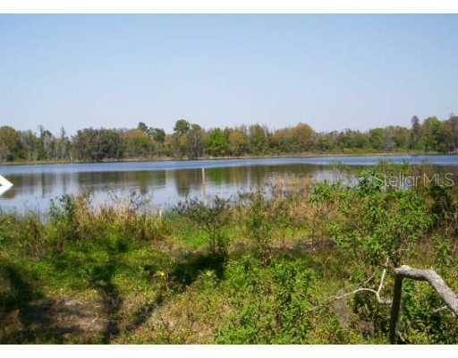 3625 Little Rd., Lutz, FL 33548