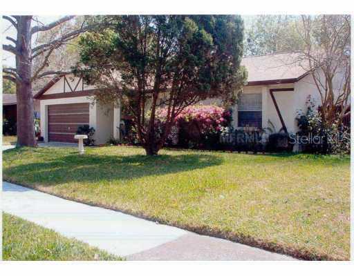313 Black Oak Ct., Seffner, FL 33584