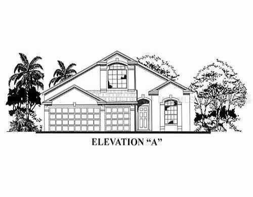 34435 Blue Ash Ct., Wesley Chapel, FL 33545